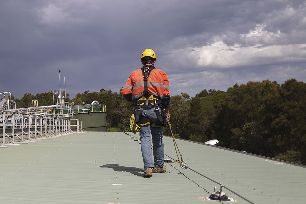mansafe system